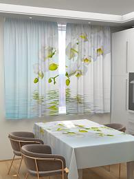картинка Фотошторы для кухни Белая орхидея от магазина Рим-Декор