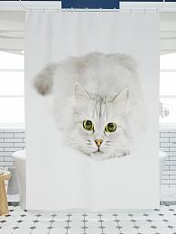 картинка Фотоштора для ванной Играющий кот от магазина Рим-Декор