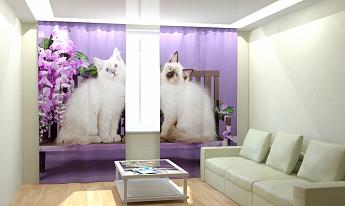 картинка Фотошторы Сиамские кошечки от магазина Рим-Декор